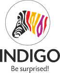 Indigo paints Ltd 